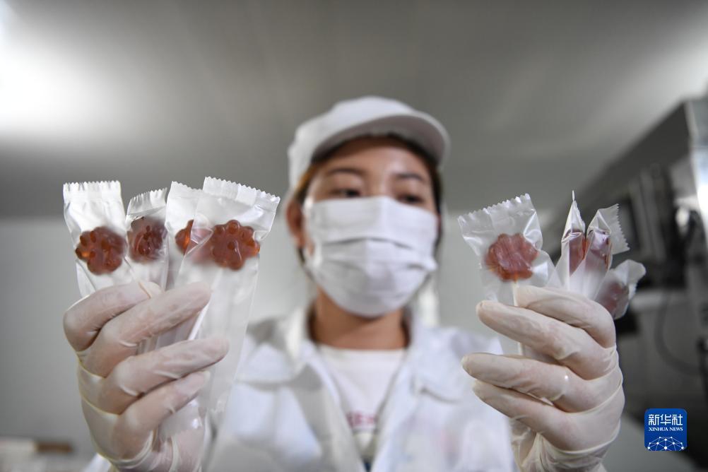 捕鱼游戏破解版
